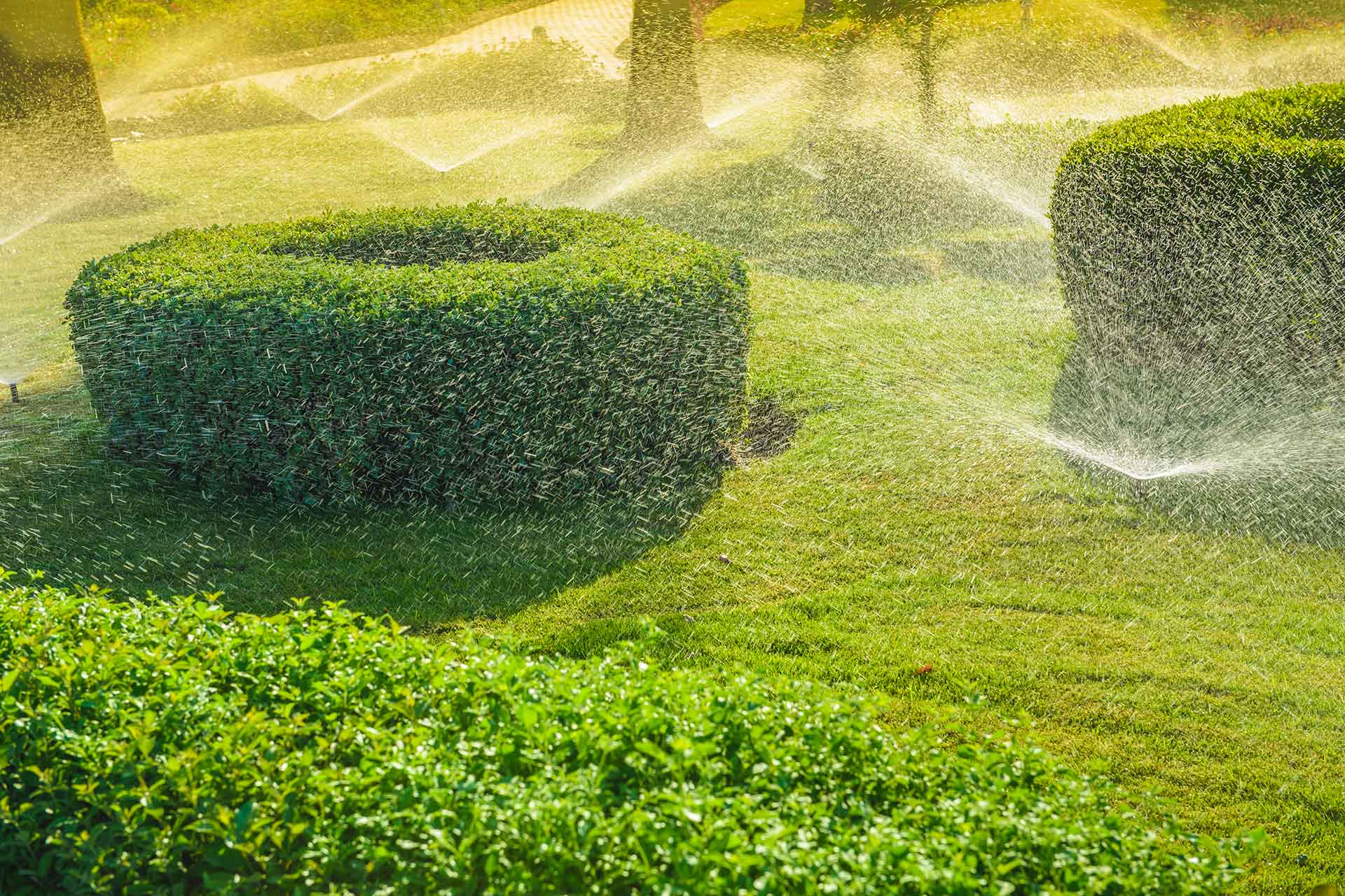 Fall is Here: Preparing Your Lawn for Winter Dormancy